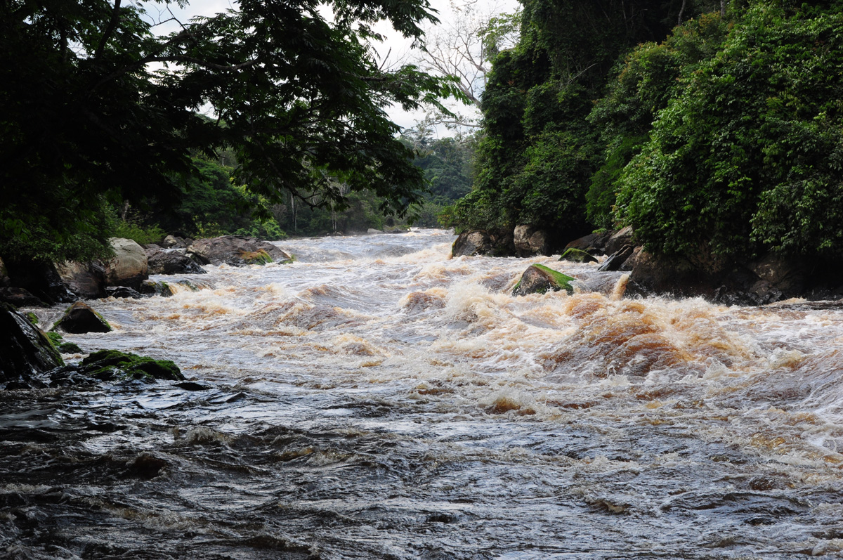 Bystrze na rzece Dja (Kamerun)